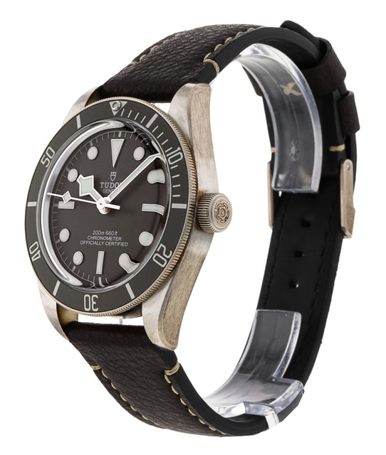 Tudor Black Bay 58 M79010SG-0001 Image 2